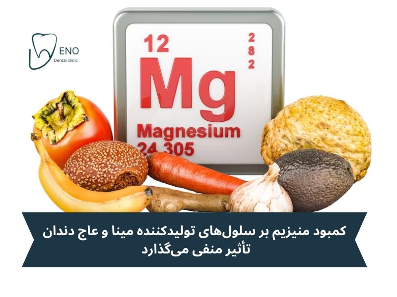 منیزیم؛ کمک کننده به حفظ تعادل کلسیم