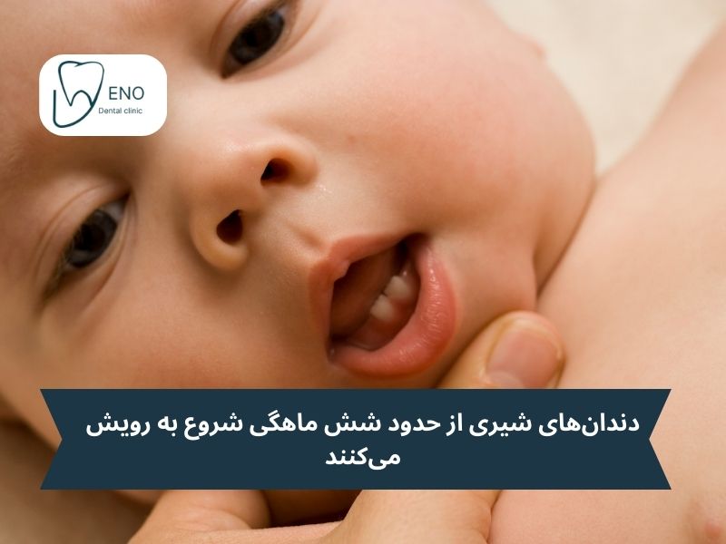 رویش دندان شیری