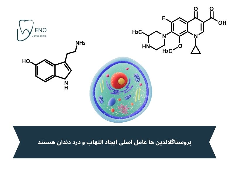 تاثیر فارژزیک برای دندان درد